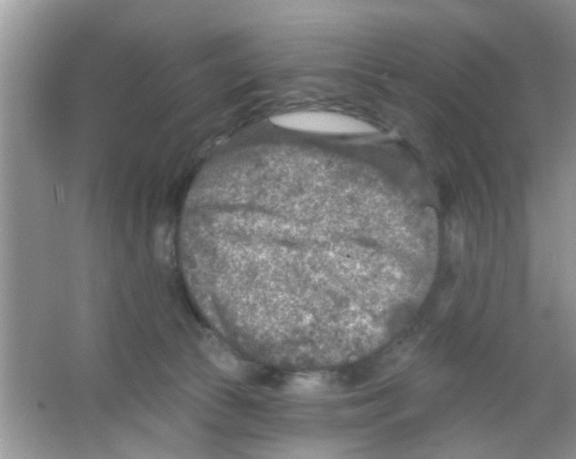 X0000065970177200603311848