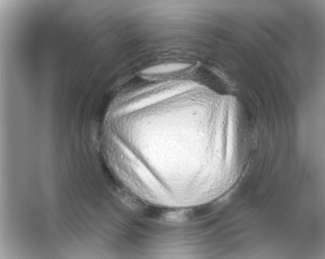 X0000065970178200603311848