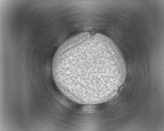 X0000065970179200603311848