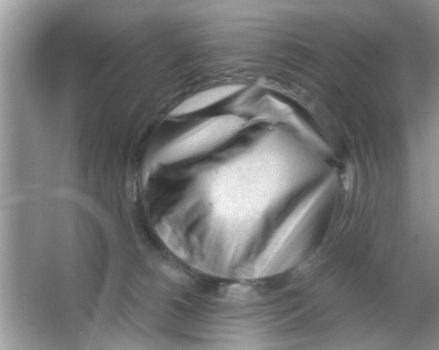 X0000065970180200603311848