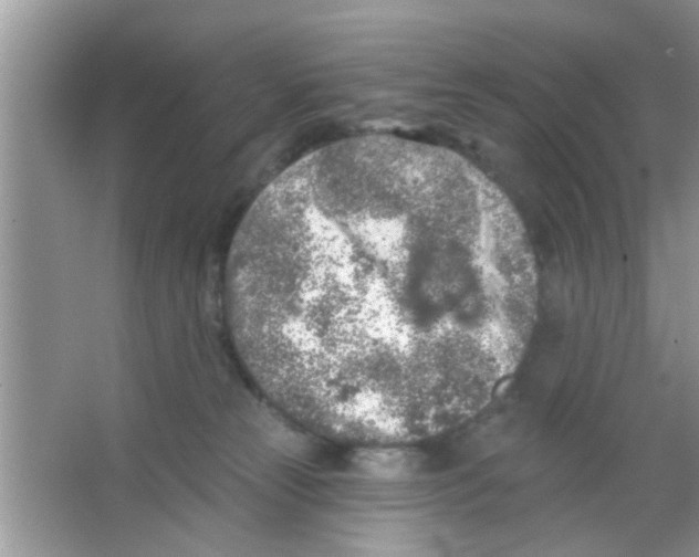 X0000065970181200603311848