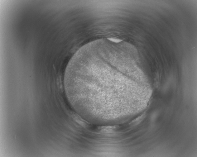 X0000065970182200603311848