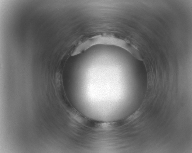 X0000065970184200603311848