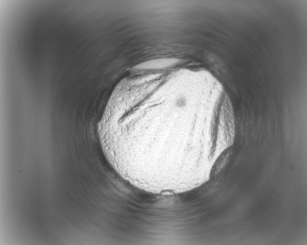 X0000065970185200603311848