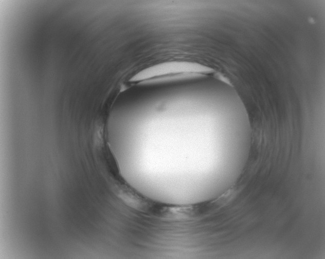 X0000065970188200603311848