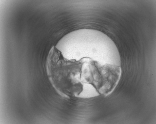 X0000065970189200603311848