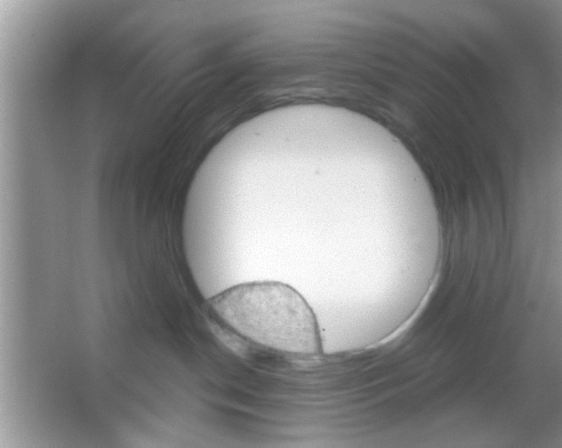 X0000065970190200603311848