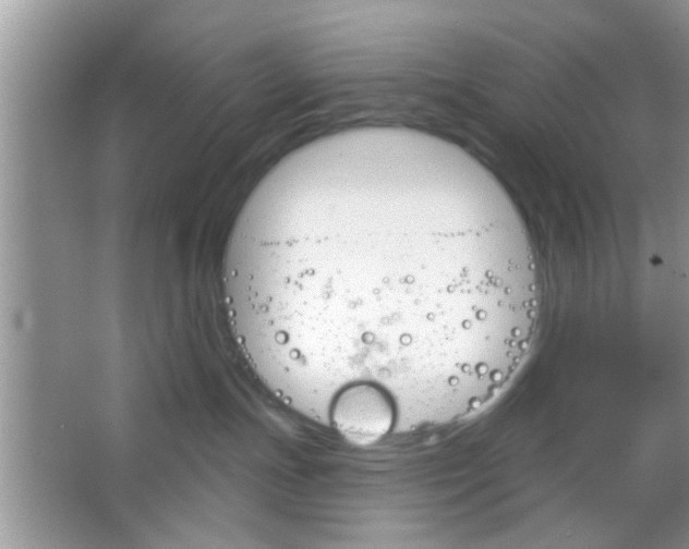 X0000065970191200603311848