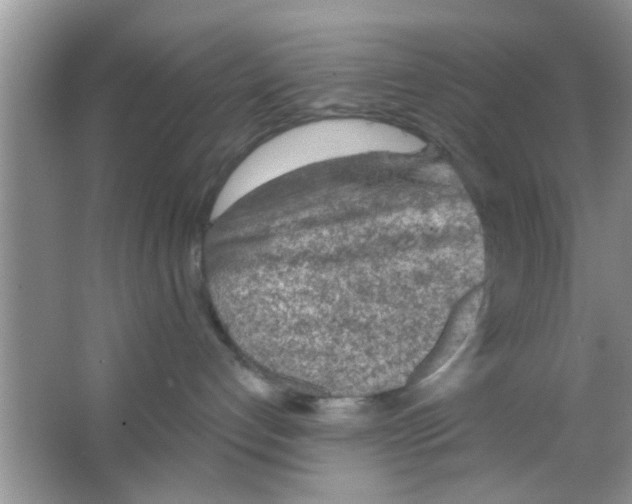 X0000065970192200603311848