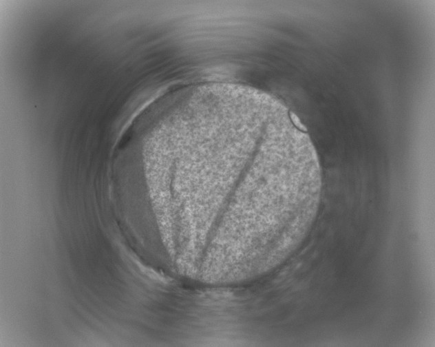 X0000065970194200603311847