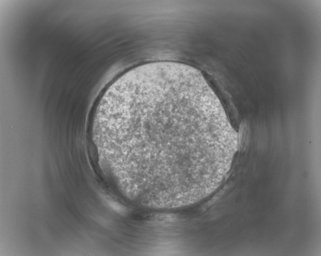 X0000065970195200603311847