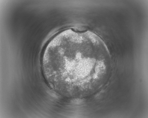 X0000065970198200603311847