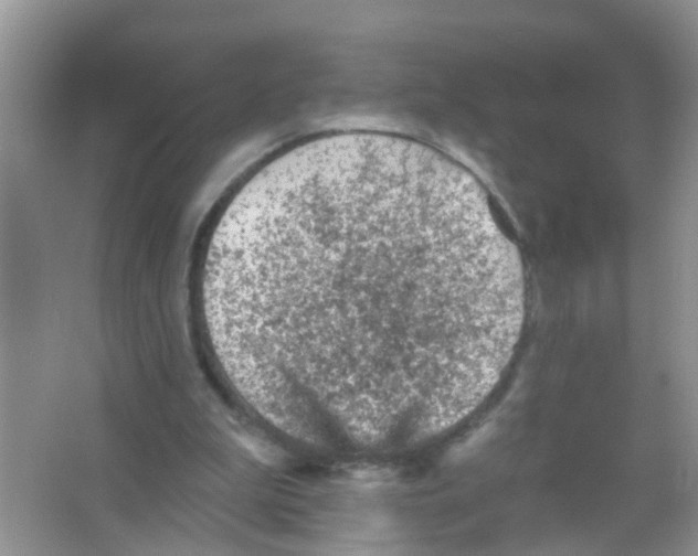 X0000065970199200603311847