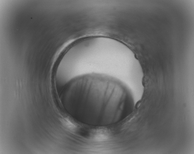 X0000065970200200603311847