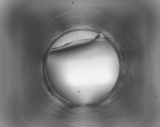 X0000065970201200603311847