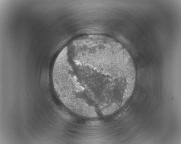 X0000065970202200603311847