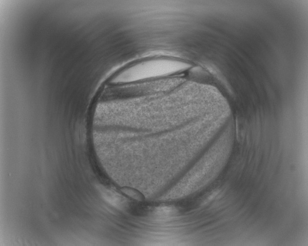 X0000065970204200603311847