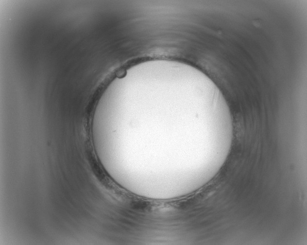 X0000065970208200603311847