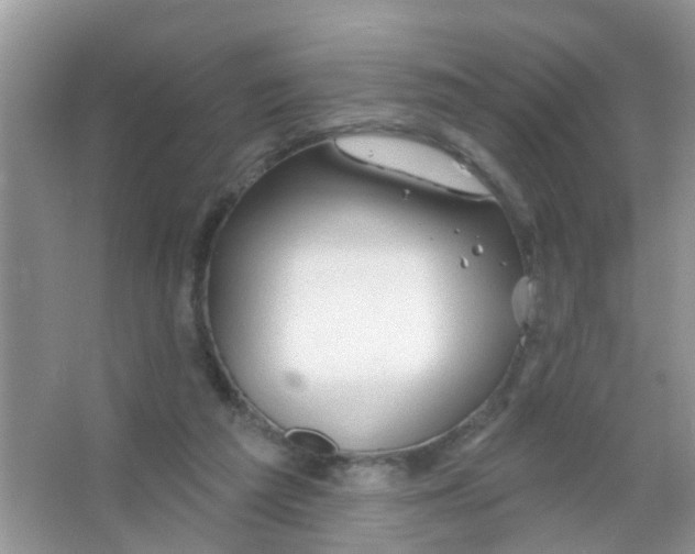 X0000065970209200603311847