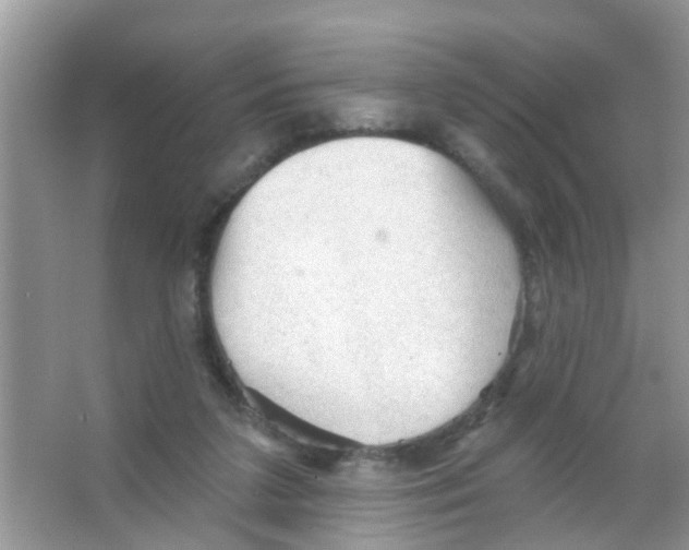 X0000065970211200603311847