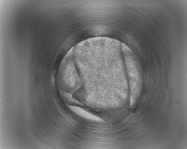 X0000065970214200603311847