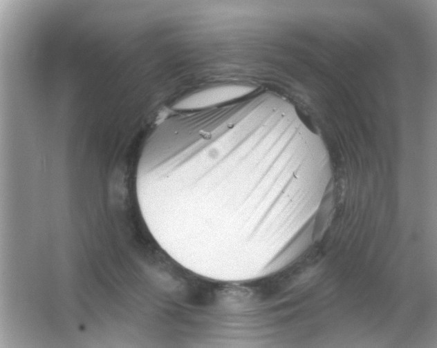 X0000065970215200603311847