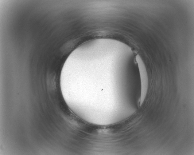 X0000065970216200603311847