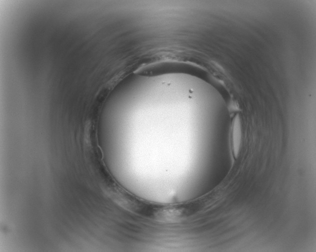 X0000065970217200603311847