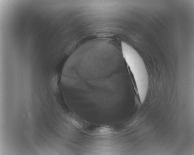 X0000065970219200603311847