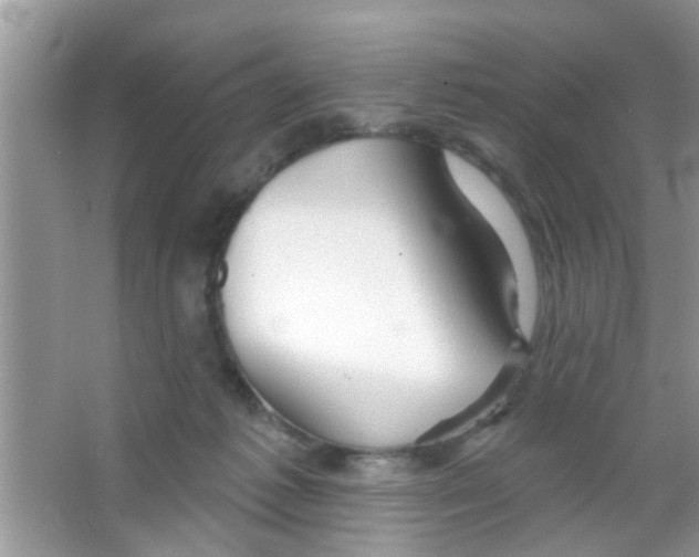 X0000065970221200603311847