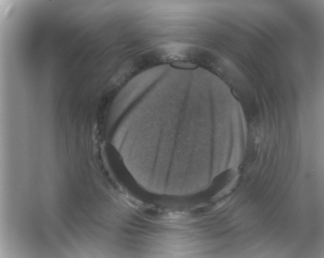 X0000065970223200603311847