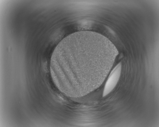 X0000065970224200603311847