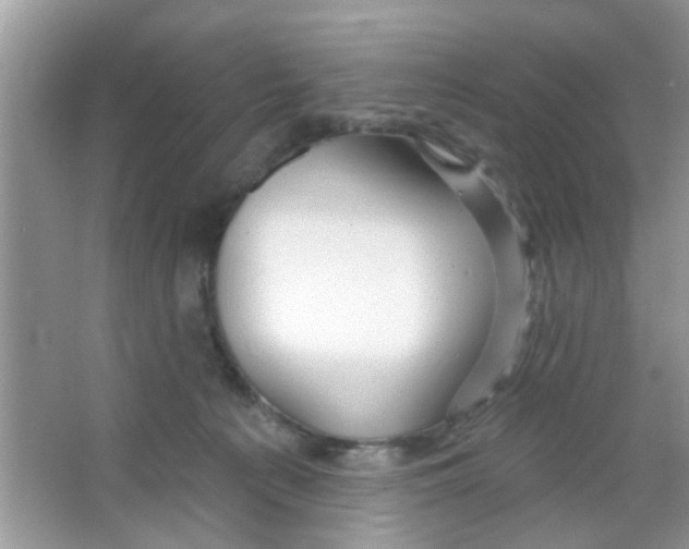 X0000065970225200603311847