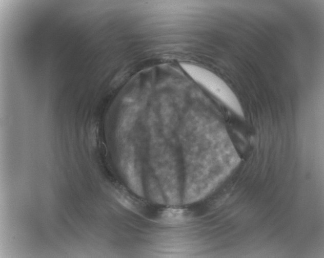 X0000065970227200603311847