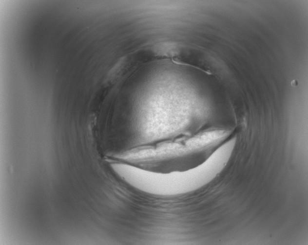 X0000065970229200603311847