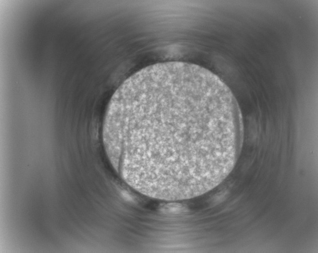 X0000065970230200603311847