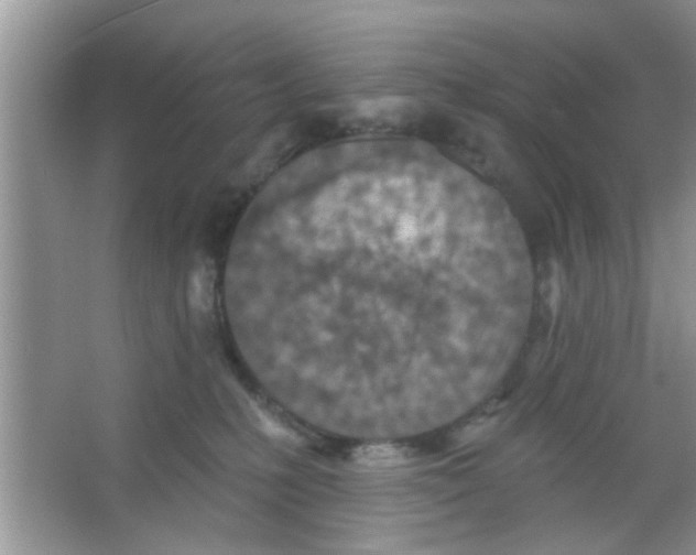 X0000065970231200603311847