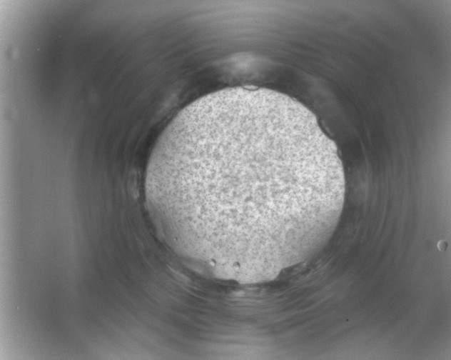 X0000065970232200603311847