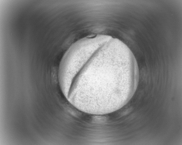 X0000065970234200603311847