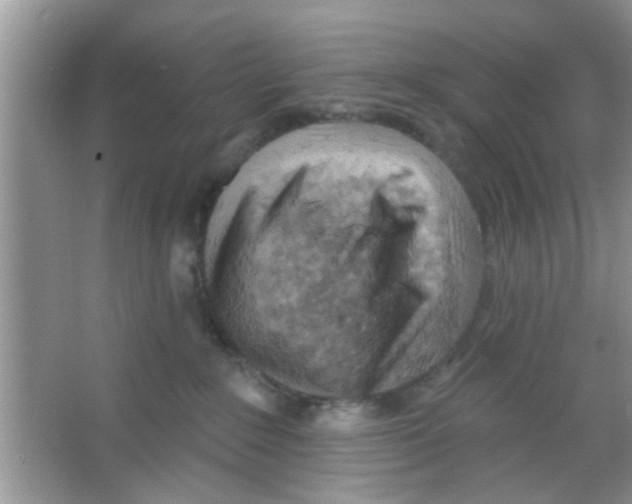 X0000065970235200603311847