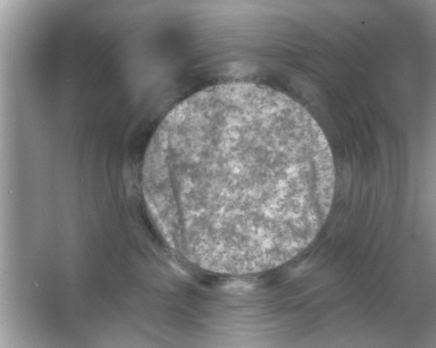 X0000065970236200603311847