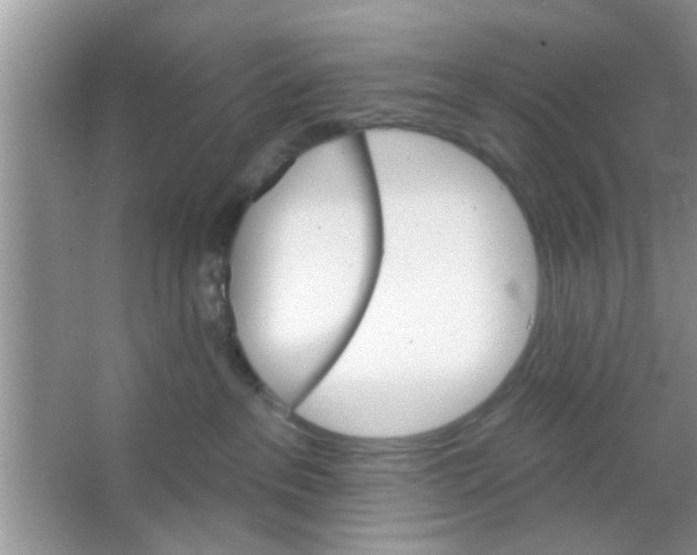 X0000065970237200603311847