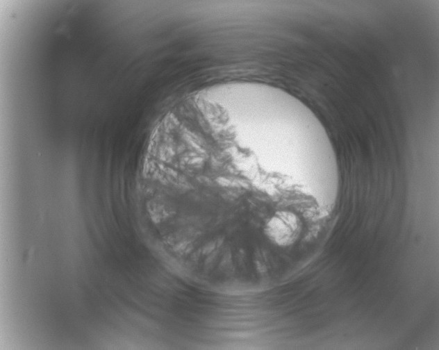 X0000065970238200603311847