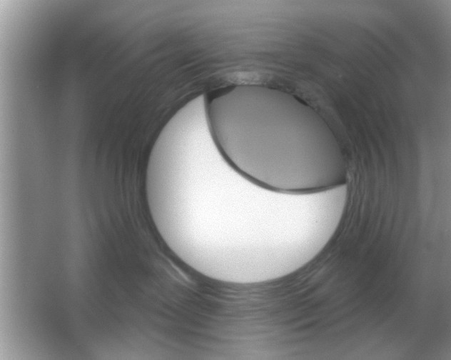 X0000065970239200603311847