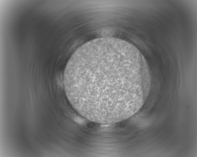 X0000065970240200603311847