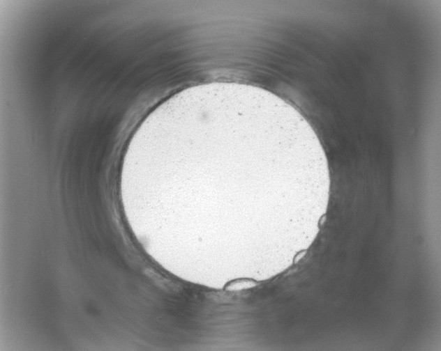 X0000065970241200603311846