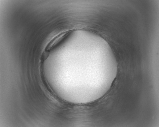 X0000065970242200603311846