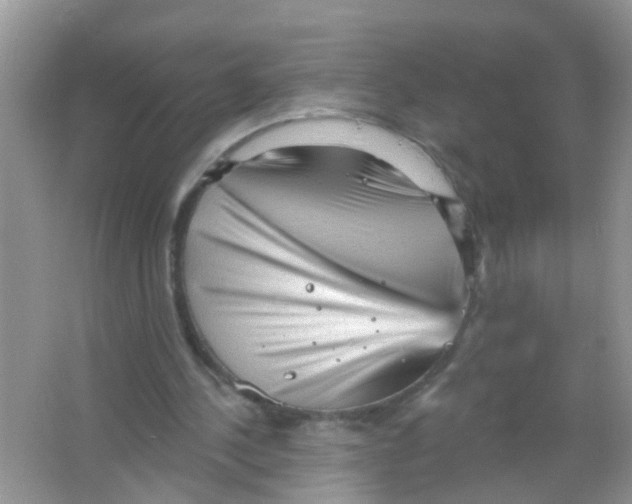 X0000065970244200603311846