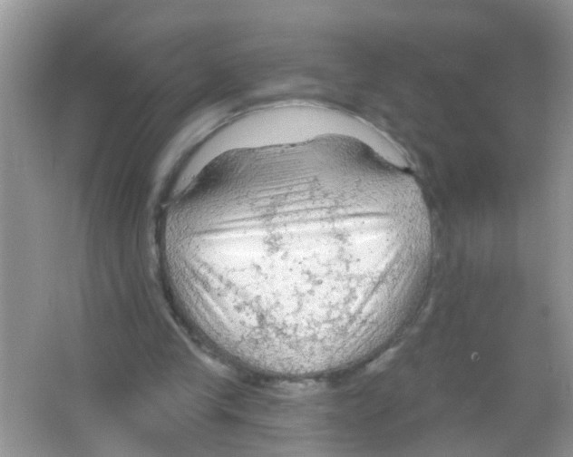 X0000065970245200603311846