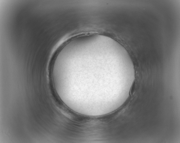 X0000065970246200603311846